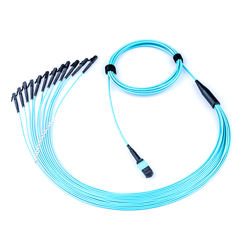 Multifiber Cable Assemblies MTP/MPO Trunk Fanout Blue Cord 12 LC Connectors